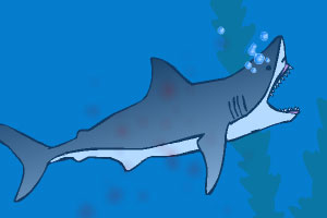 小鲨鱼深海成长