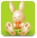 兔子爱萝卜
