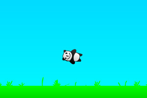 会飞的熊猫
