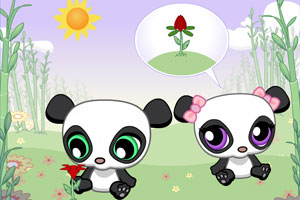 熊猫的爱情花朵