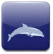 海豚奥运会