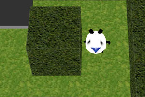 熊猫闯迷宫
