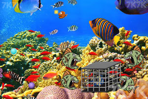 海底营救热带鱼