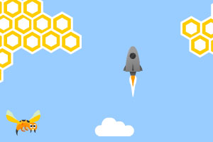 火箭与蜜蜂