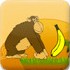 猩猩吃香蕉