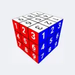Sudoku Puzzle Cube