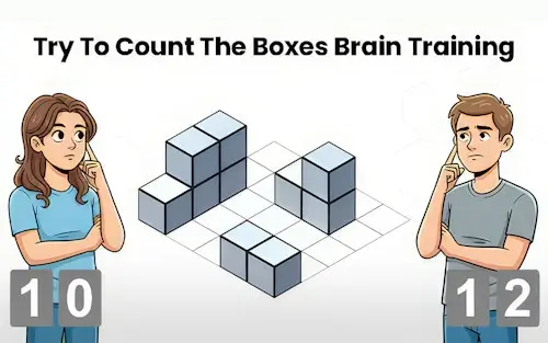 Try To Count The Boxes: Brain Training
